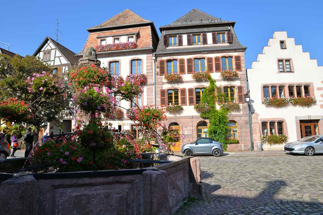Bergheim